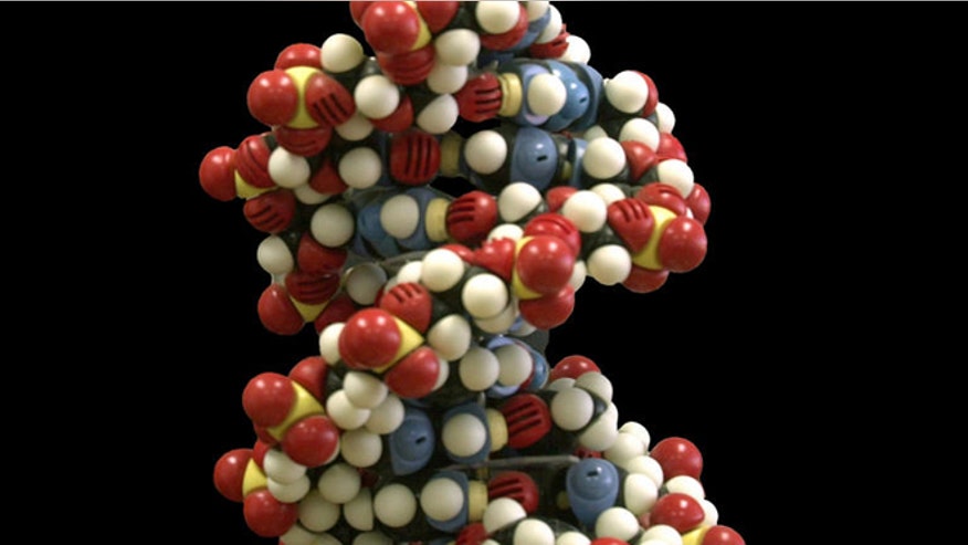 dna molecules.jpg